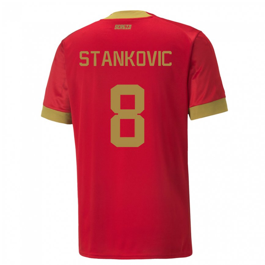 Herren Serbische Aleksandar Stankovic #8 Rot Heimtrikot Trikot 22-24 Luxemburg